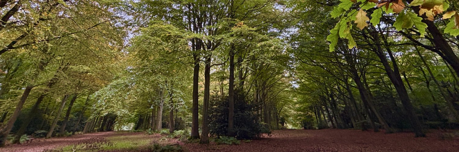 Icelass 💙🥾 📸 🚂 🌊 🦅🌲🏃‍♀️ banner