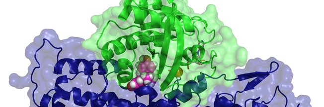 Raphael Stoll banner