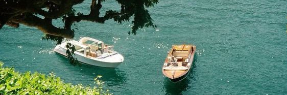 SAPPY🪩⭐️ ² banner