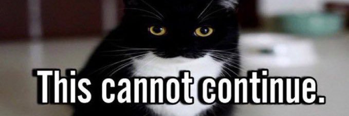 Orbee💫Wags🔞 banner