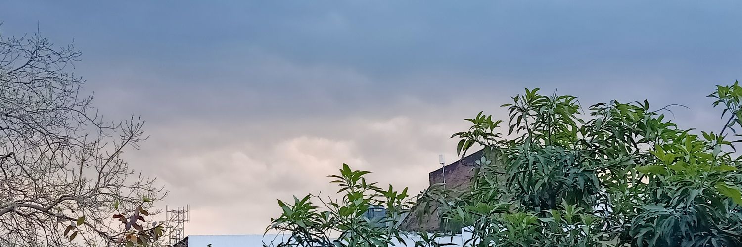 Sucheta banner