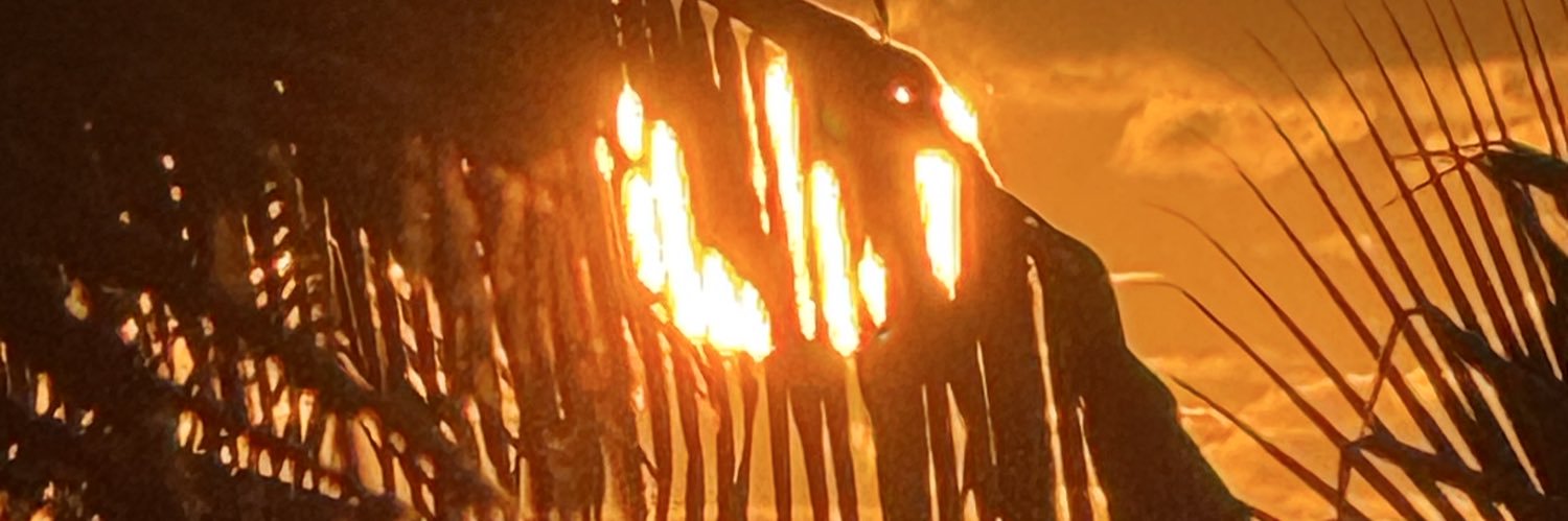 jacqueslevy14's profile banner image