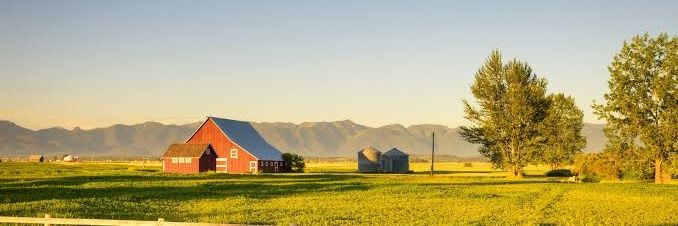 ᵖᵉᵘ #BBB26 🧙‍♀️ banner