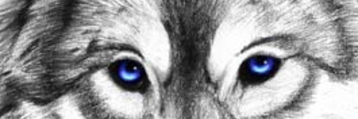 VickerVicent's profile banner image