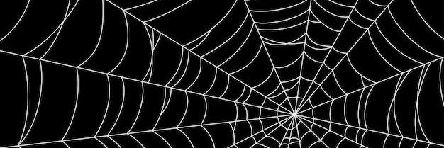 Spiderwomen banner