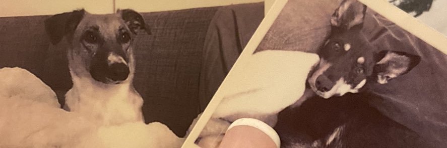 Lacey Edgington 🇦🇪🏴󠁧󠁢󠁥󠁮󠁧󠁿 banner