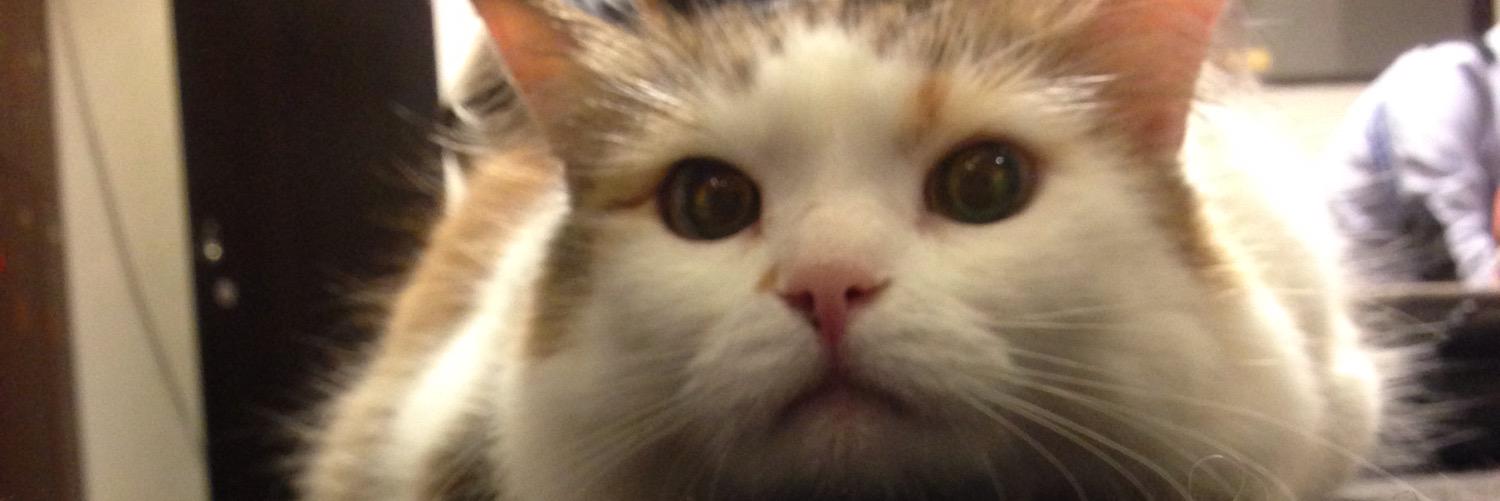 ふみかω暁夜 banner