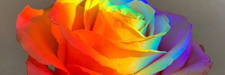 Rosedrawing2's profile banner image