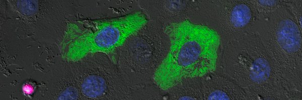 krokenlab Profile Banner