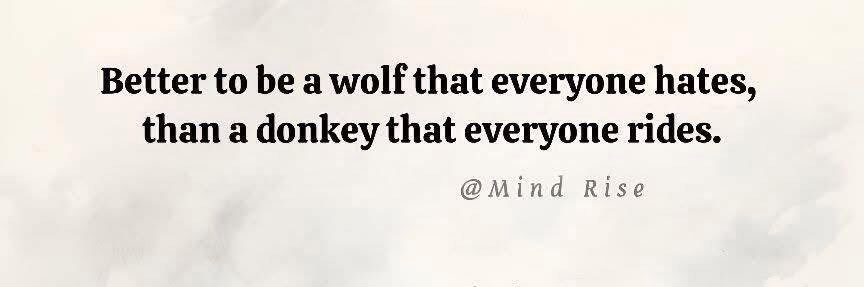🐺WolfHead🪶 banner