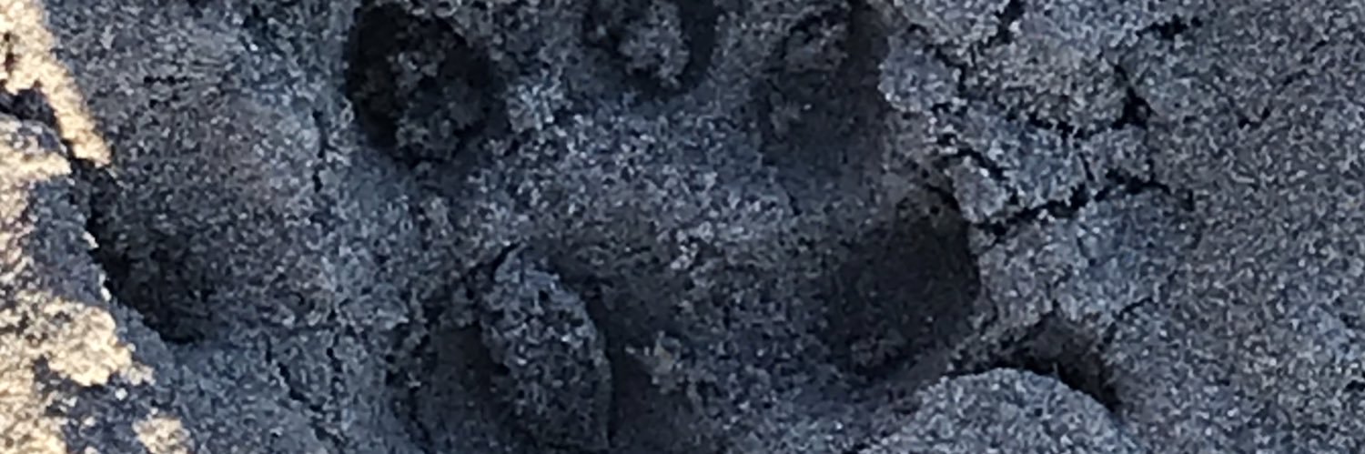 9inaam7's profile banner image