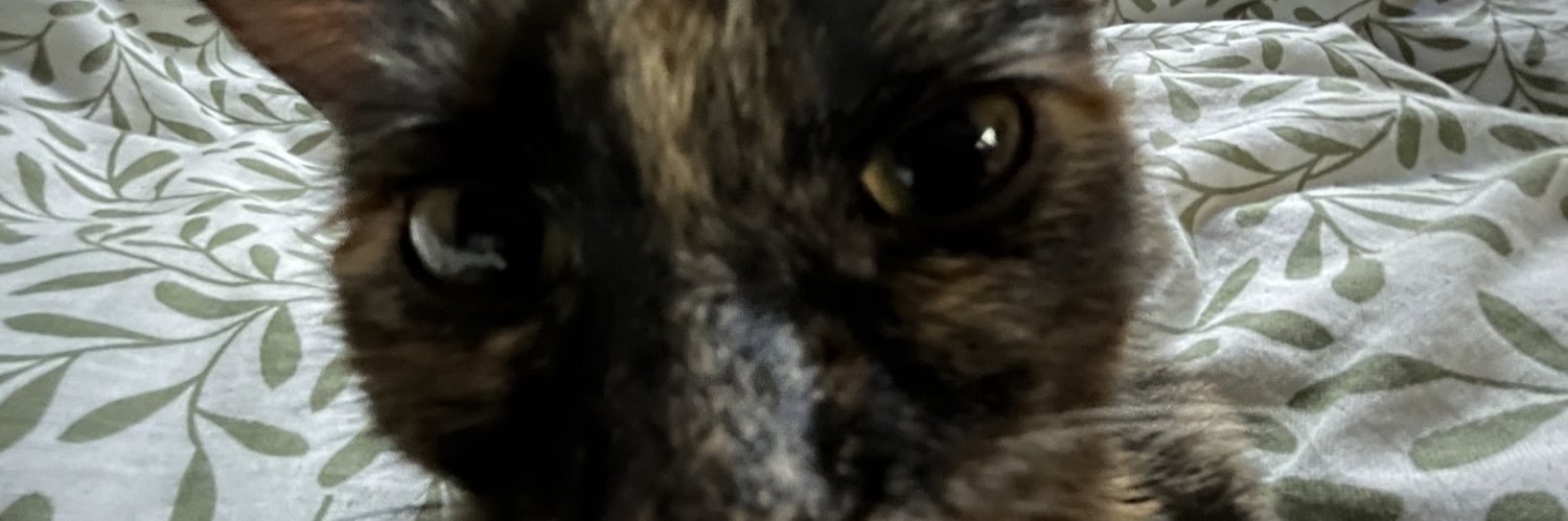 jamhlies's profile banner image