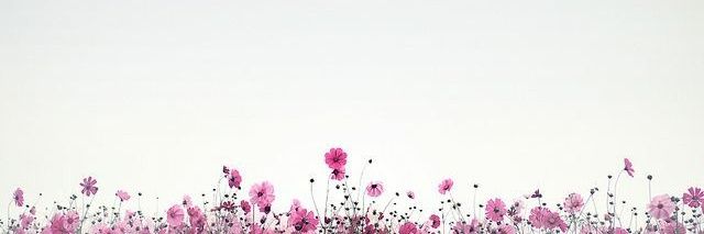naw banner