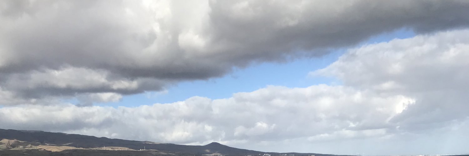 The lonely bowler banner