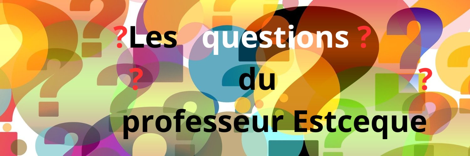 Professeur Estceque ❓ banner