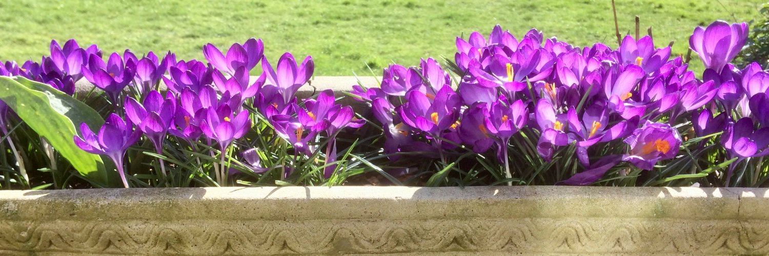 Cowbridge Rotary banner