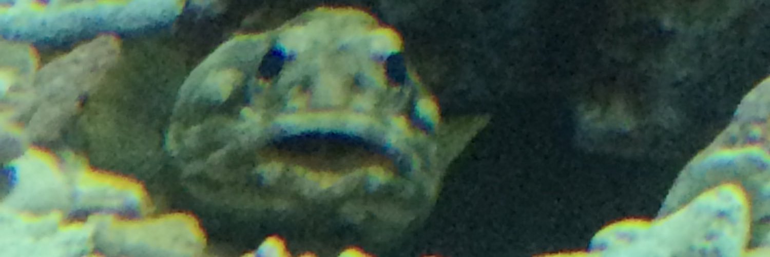 moimofumoi's profile banner image