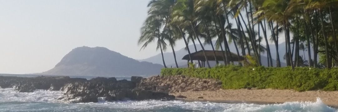 Strobe lights make everything sexier banner