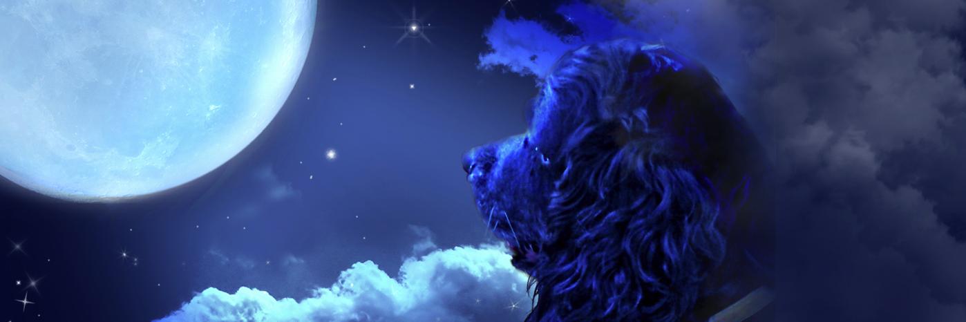 melriver25's profile banner image