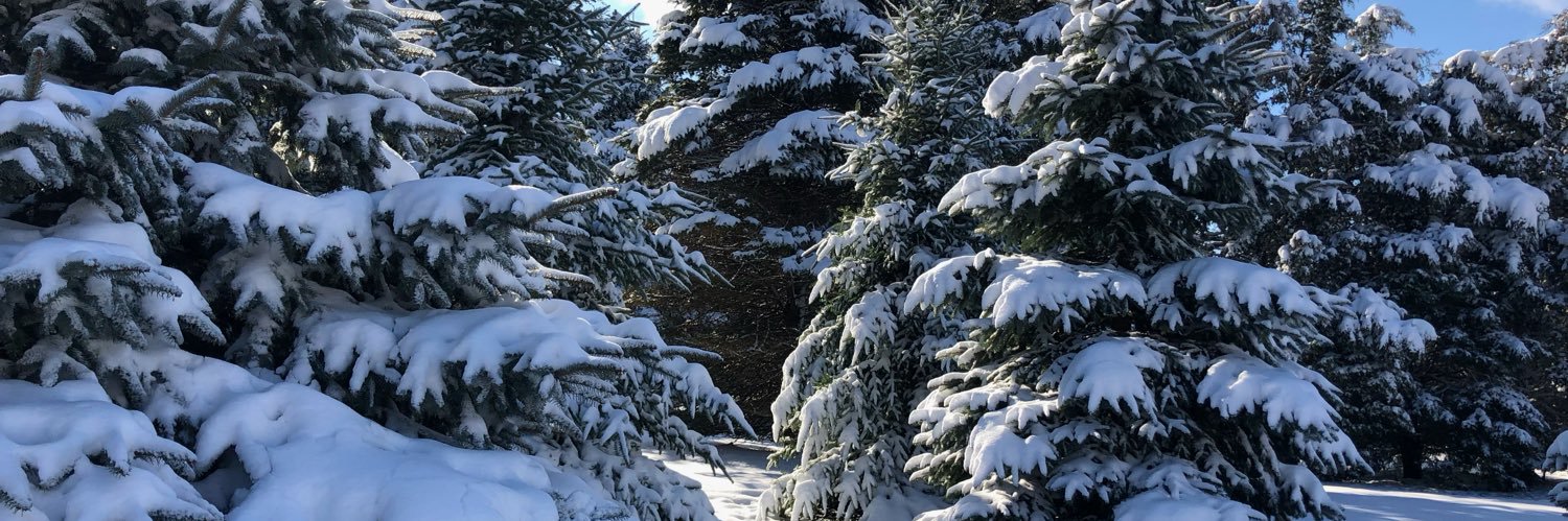 ParsonBrown216 banner