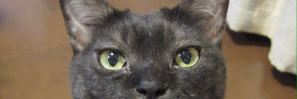 akimof's profile banner image