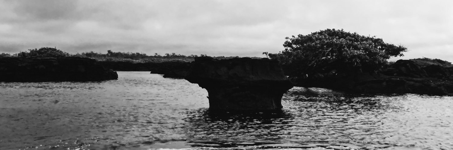 DrIng's profile banner image