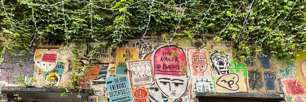 martizallocco's profile banner image