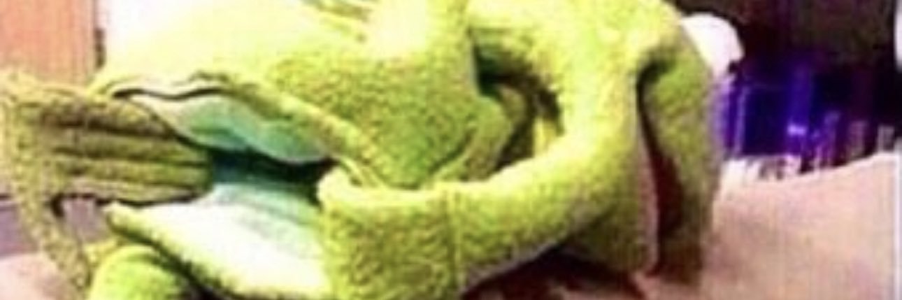 😸 banner