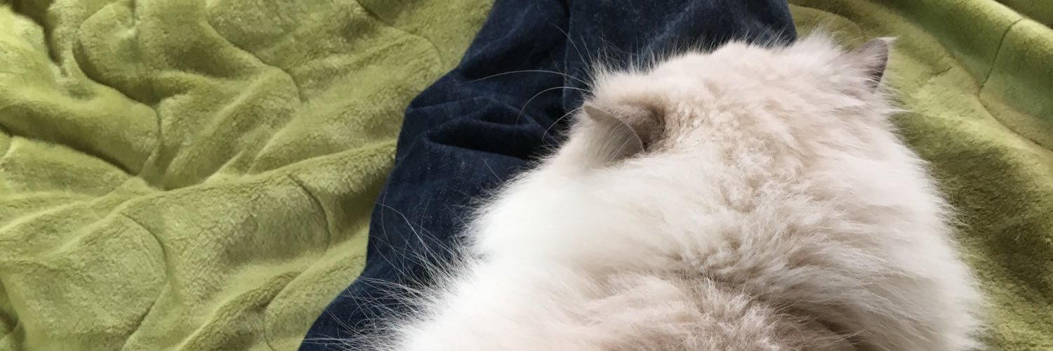 sarumattya's profile banner image