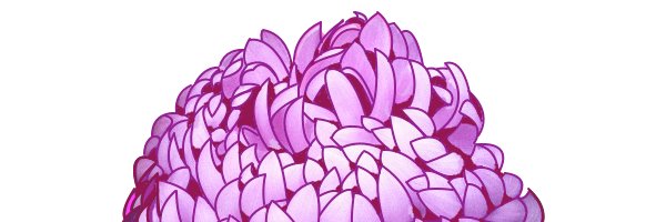 paramotorpap's profile banner image