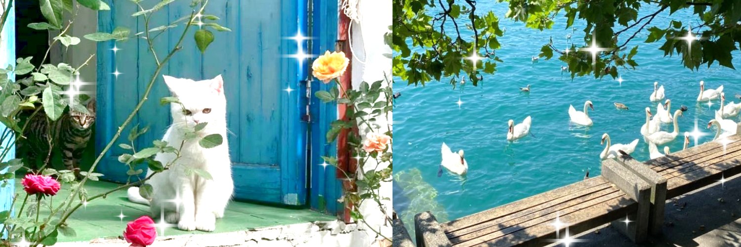 perfeyc's profile banner image