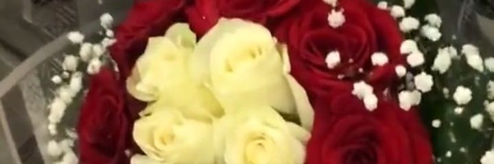 hfd223344's profile banner image