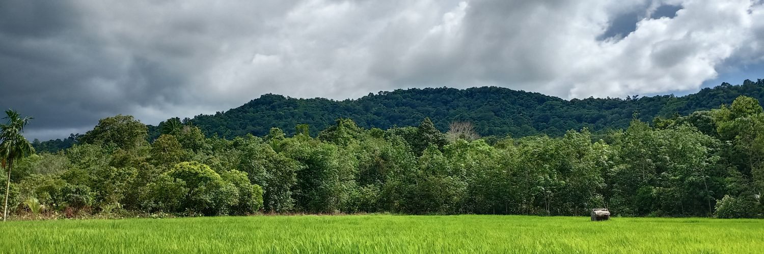 routedee's profile banner image