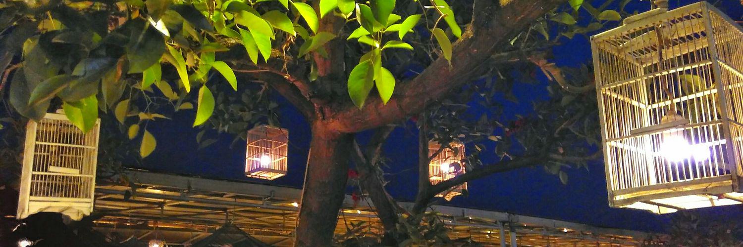 LuckyAnanto's profile banner image