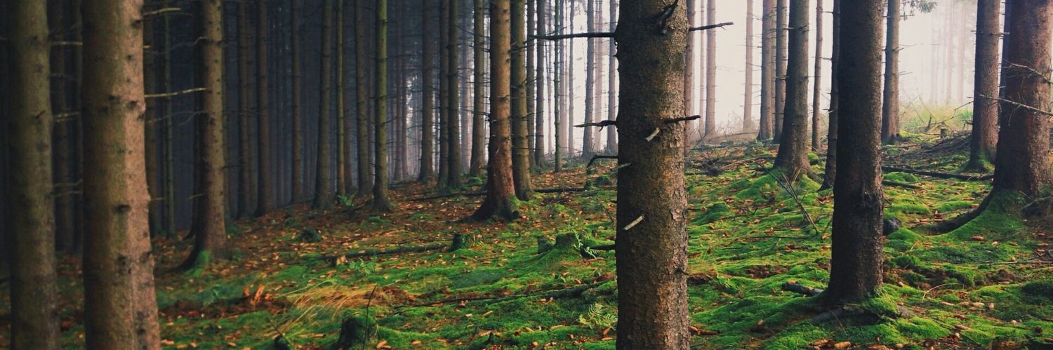 frank2e's profile banner image