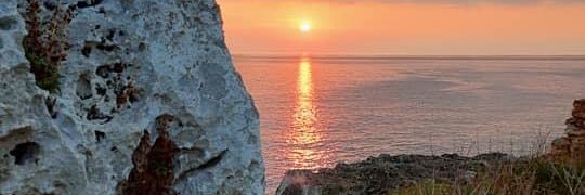 francescalongo banner