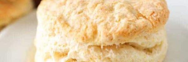 BiscuitGoodBoy Profile Banner