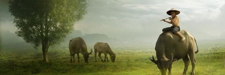 bunthon096's profile banner image