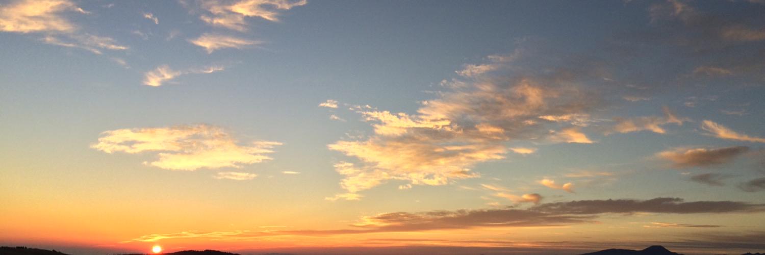 TtomokoT's profile banner image