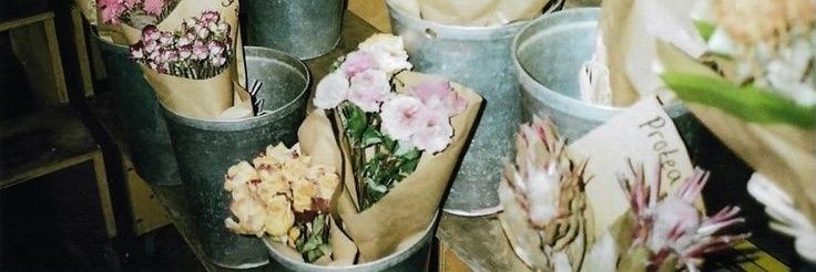 m banner