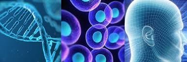 Gabriel Liberatore banner