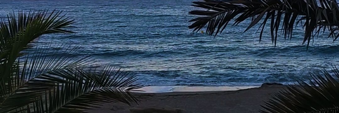 aliicia_gl's profile banner image