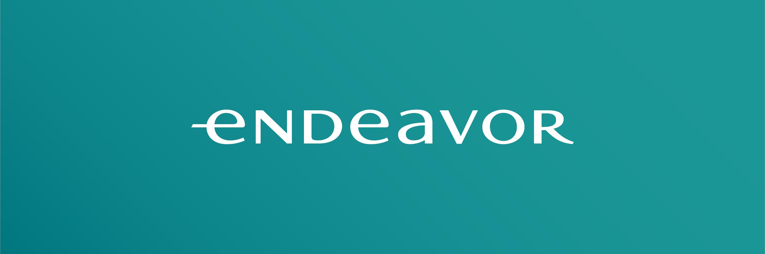 Endeavor Egypt banner