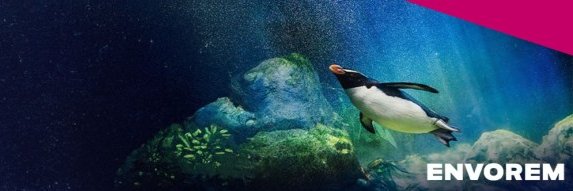 ENVOREM banner