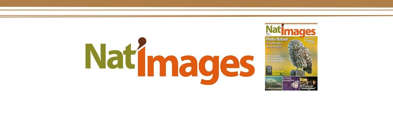 NATimages_LeMag's profile banner image