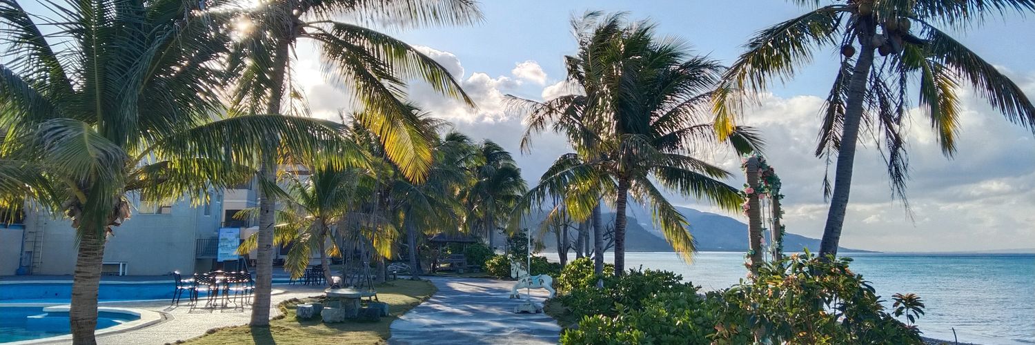 眼神系的🌸蝴蝶 banner