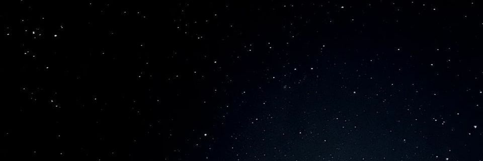 chee banner