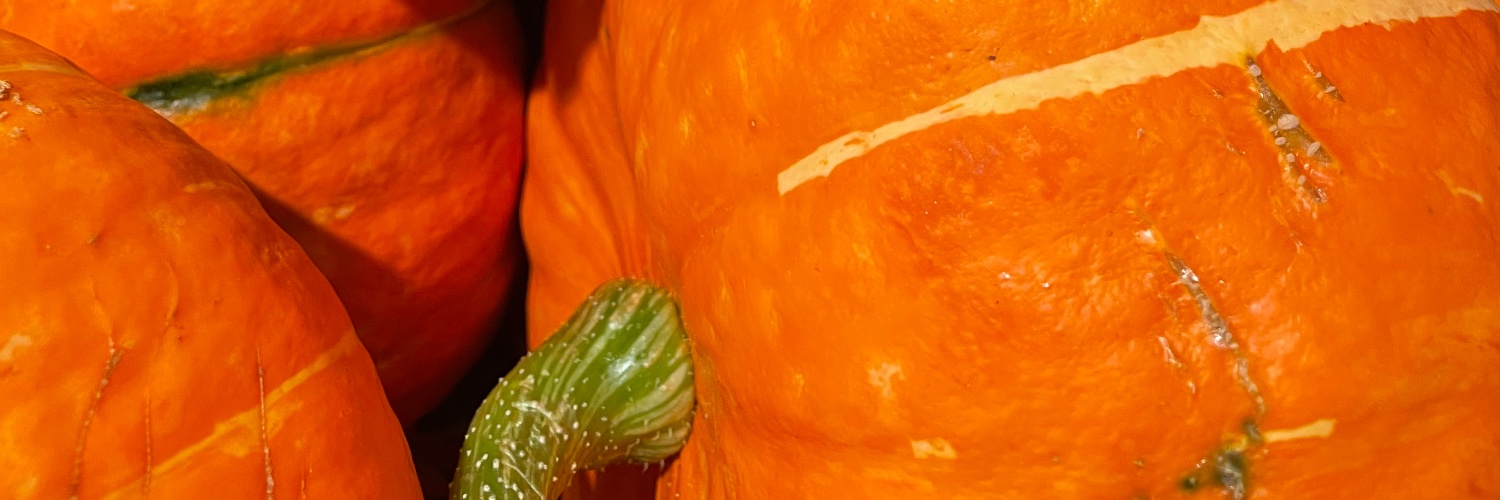katmremes's profile banner image
