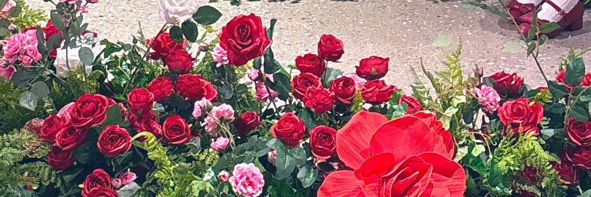 rom36816's profile banner image