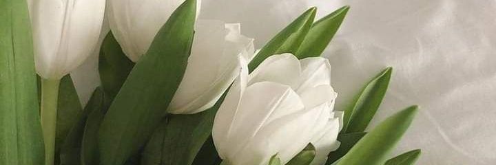 raturangrang's profile banner image
